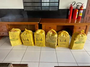 WhatsApp-Image-2025-03-06-at-16.02.10-300x225 Polícia Civil apreende 211 tabletes de pasta base de cocaína em Mirassol d’Oeste-MT