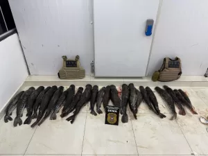 WhatsApp-Image-2025-06-07-at-07.15.20-300x225 Ação policial apreende 124 kg de pescado ilegal em área rural de Barão de Melgaço